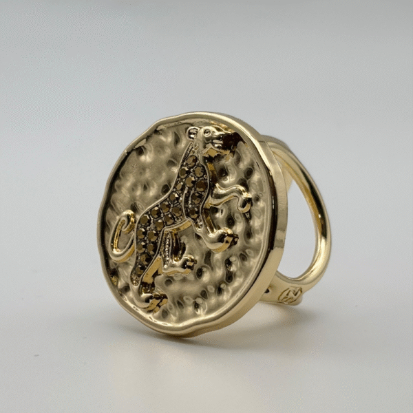 ANNEAU DE FOUALRD LEONCE BRONZE