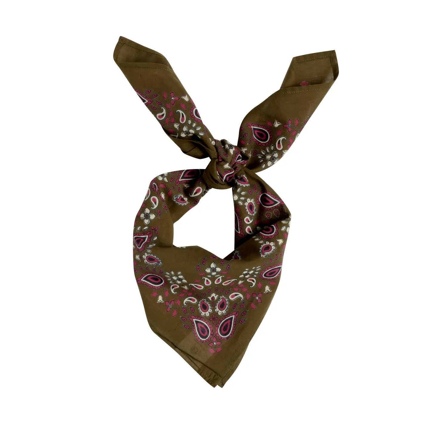 Petit Foulard Indien - Kaki